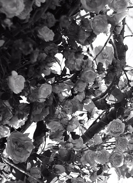 Simone on empowerment